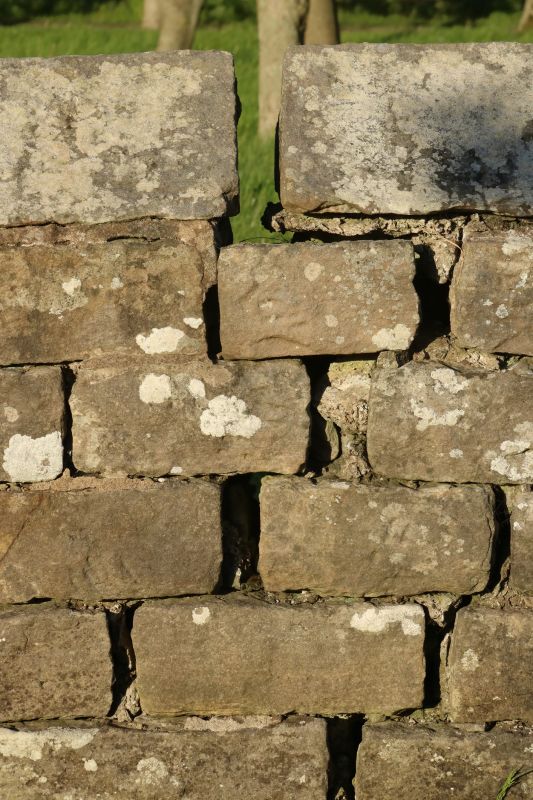 Stone Wall Repair in Box Elder County, UT